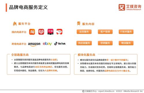 2023年中國(guó)品牌電商服務(wù)行業(yè)研究報(bào)告 信息咨詢服務(wù)的價(jià)值重塑與發(fā)展洞察